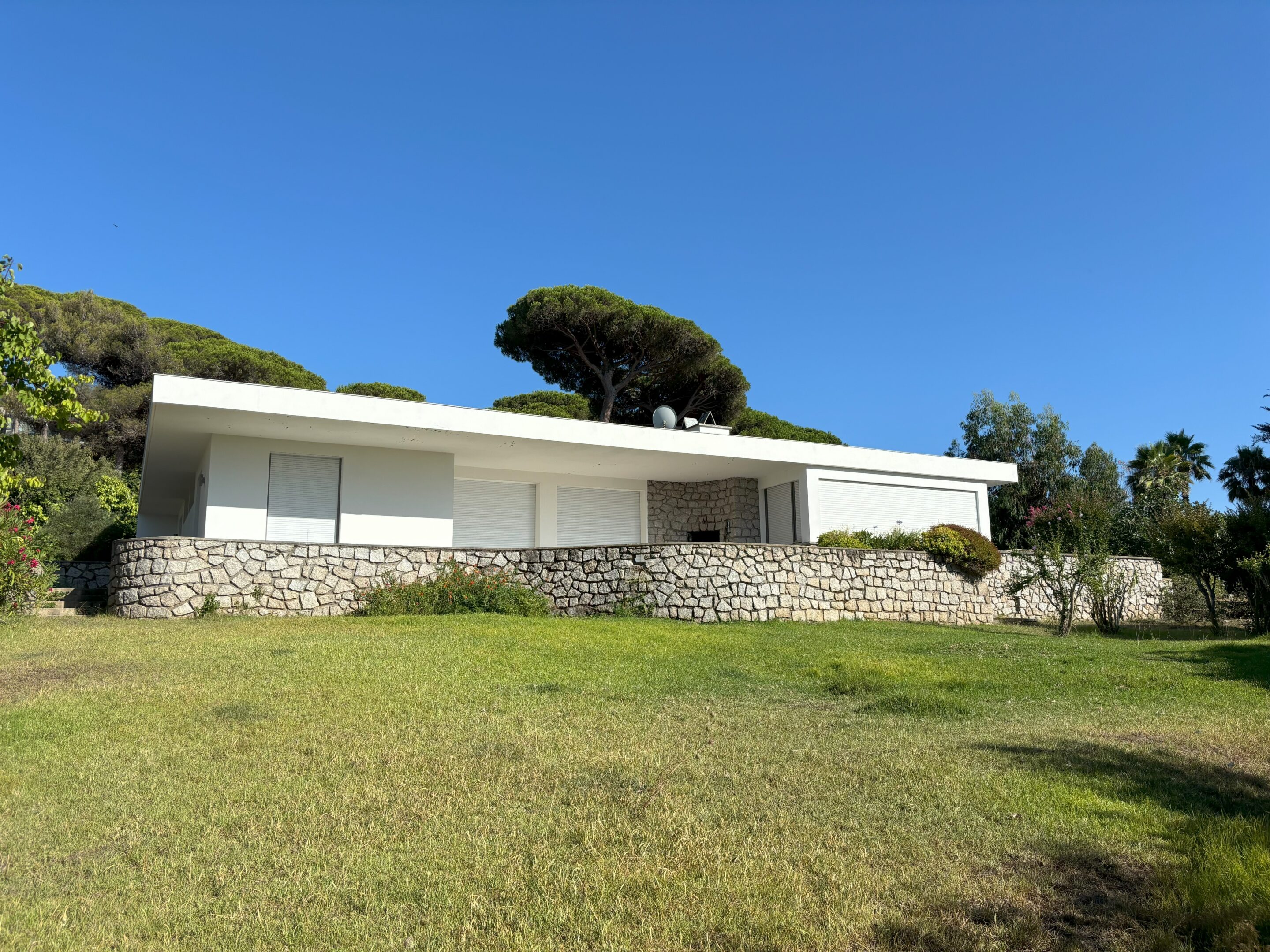 Vue 3D depuis la pergola.
